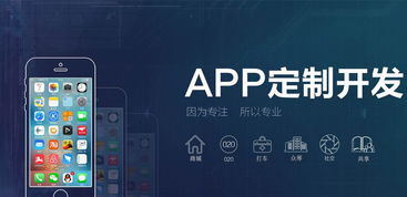 中伟科关于微信小程序定制与app定制开发的诠释